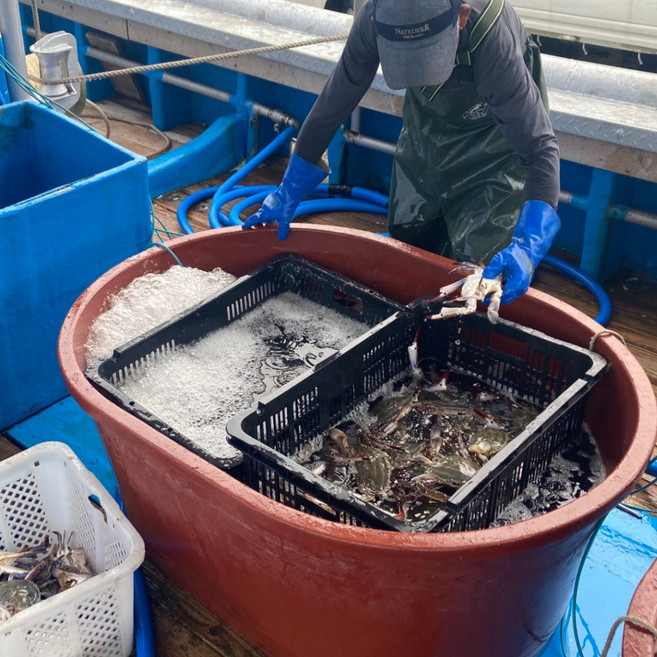 [일품간장게장] 알이꽉찬 연평도 스페셜프리미엄 알베기암꽃게 대짜사이즈 3~4마리 3kg 1통, 1개