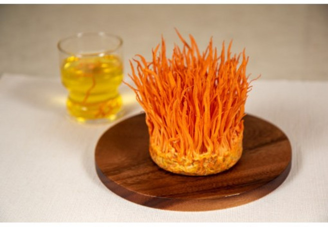 친환경인증 / 귀리먹은 귀동초(170g X 4통) 동충하초생초