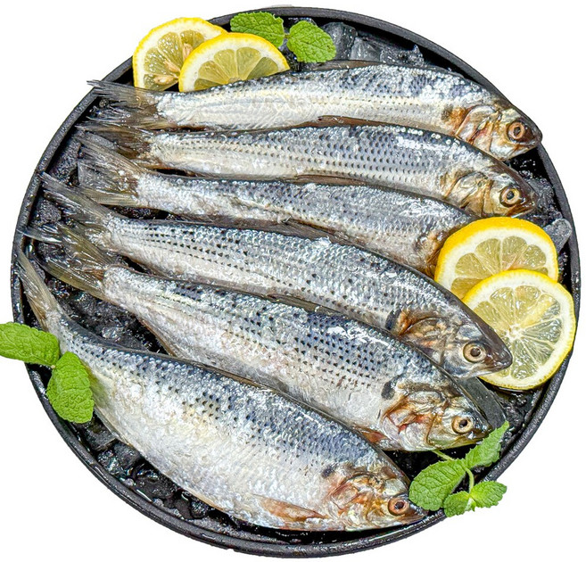 농가살리기 국내산 구이용 전어, 1개, 1kg(10~20미)
