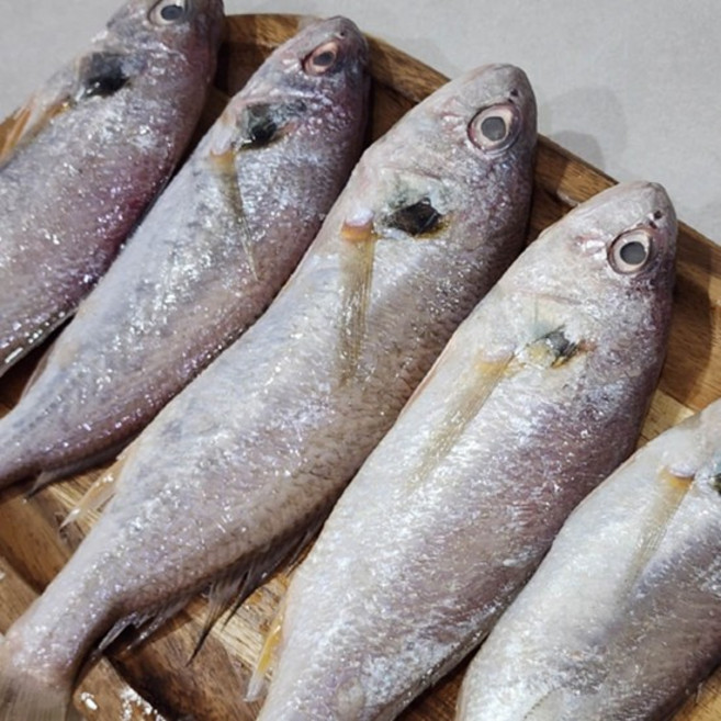 국내산 백조기 1kg 7-12미 내외, 없음