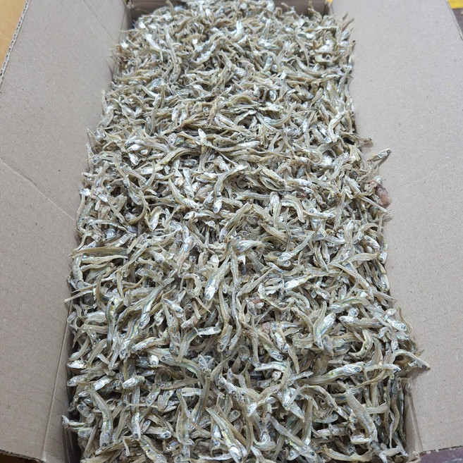 [백송식품] 품질좋은 볶음 조림용 햇 멸치 1.5kg 지리 가이리 멸치, 1개, 04 가이리멸치(중) 1.5kg
