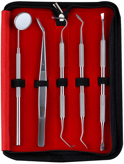 의료용 셀프 치경 치석제거기 5종세트 스케일링 치아관리 치석제거 치과기구, 1세트