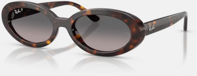 Ray-Ban雷朋 RB2223F 橢圓膠框偏光太陽眼鏡