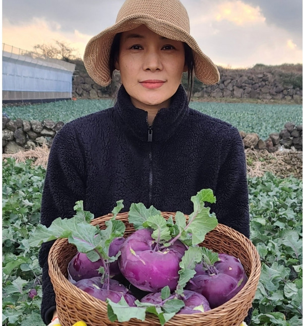 제주에서 농부가 보내는 단맛 콜라비 특상품 3kg 5kg 10kg, 1박스