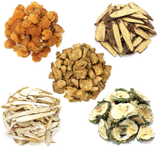 쏙당차 재료 쏙차 재료 (치커리+황기+여주+감초+용안육), 1개, 500g