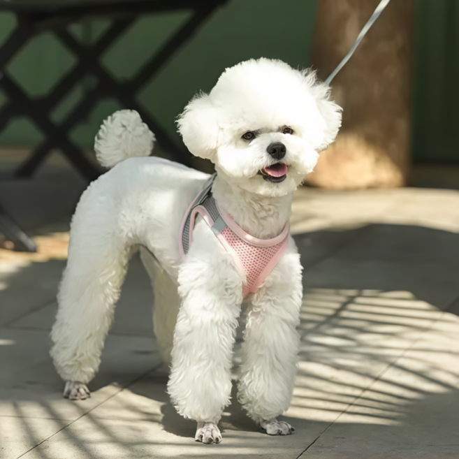 강아지 메쉬 하네스 리드줄 세트 소형견 산책 가슴줄, 1개, 핑크