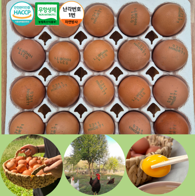 난각번호 1번 동물복지 인증 자연방사 토정유정란 20구 1개