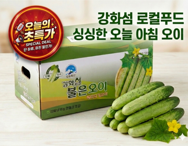 오늘의 초특가 오이지용 오이 50개 강화섬 로컬푸드 오늘아침 수확한 백다다기 생산자 직송, 1박스, 50개입(10kg)