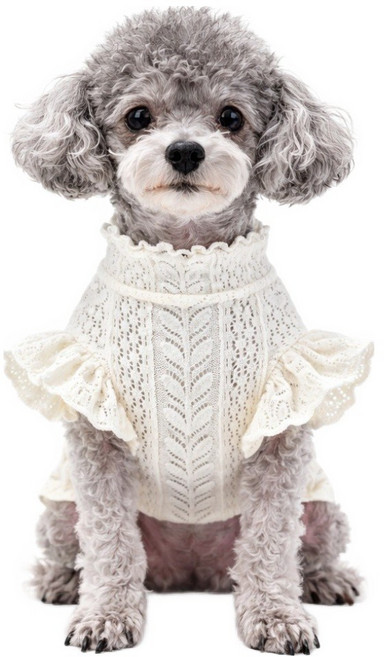 코코스튜디오 반려동물 데일리 코코 레이스 프릴스판 티셔츠, 1개, 아이보리