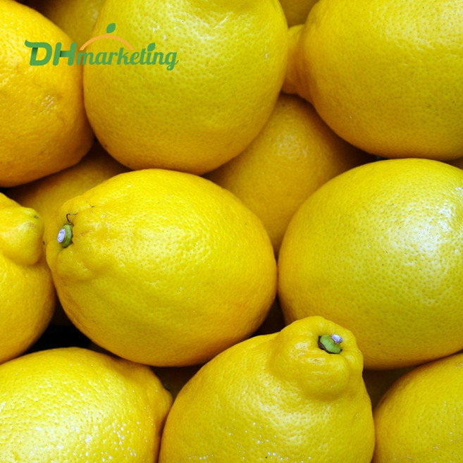 정품 팬시 레몬 특대과 20입 2.8kg 내외, 1개