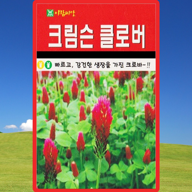 아람종묘 크림슨클로버 씨앗 20g 클로버 크로바 잔디씨 종자, 1개