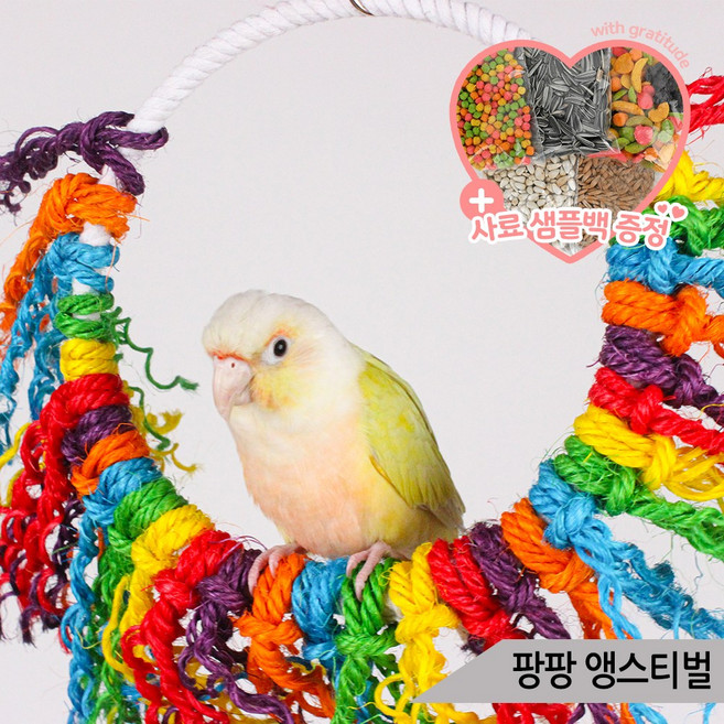 팡팡 앵스티벌 앵무새 링장난감 로프 횃대 그네 00170