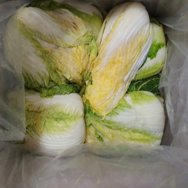 블레스팩 김장비닐 김장봉투 고추봉투 PE봉투 0.05" 100매 3종류, 100개, 중형(약10포기)