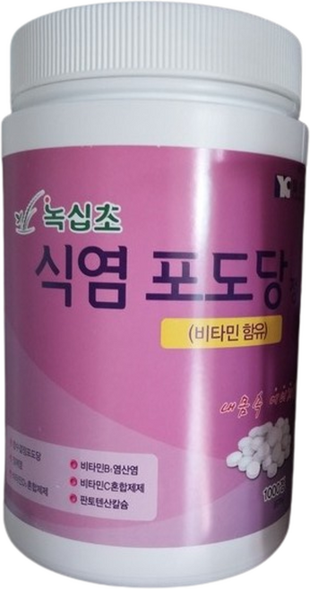 녹십초 죽염 식염포도당, 9개, 1000정