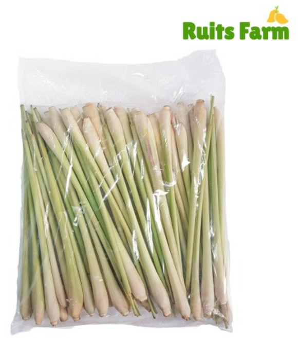 [루츠팜] 베트남 생 레몬그라스 1kg 베트남 레몬그라스 샤, 1kg 내외, 1개