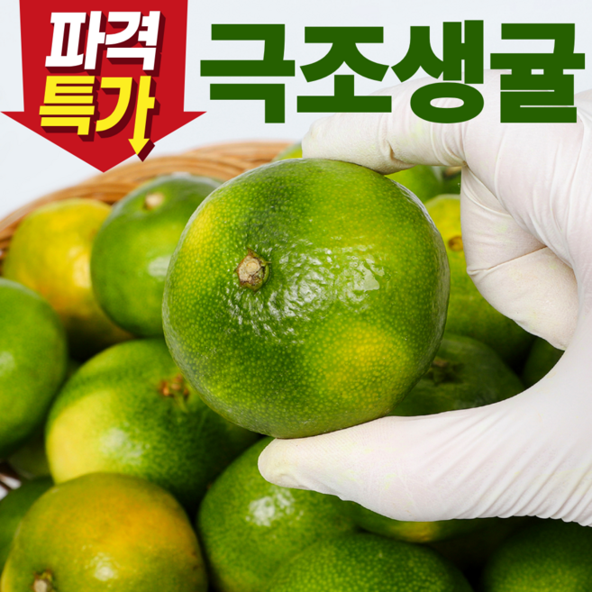 [파격특가] 제주 감귤 극조생귤 극조생 고당도 햇 감귤, 1박스, 극조생 노지감귤 10kg 대과