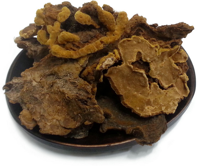 자연산 야생 찔레버섯 150g 찔레상황버섯, 1개
