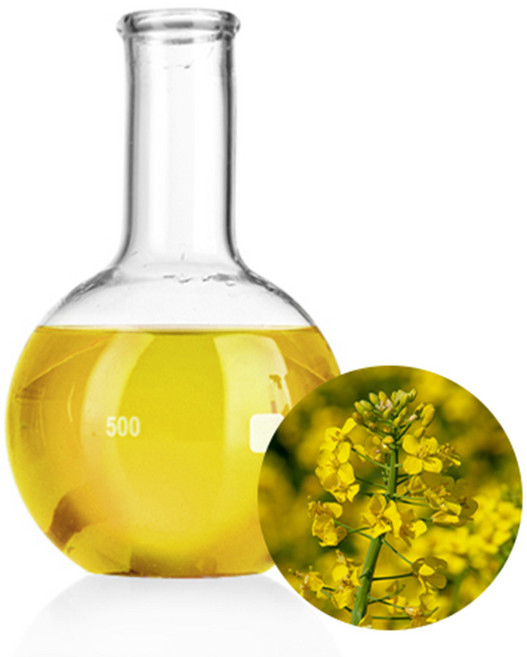 채종유(유채유/카놀라유)[정제], 1L, 1L, 1개