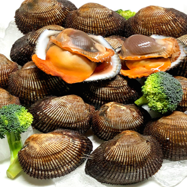 피꼬막 (전라남도 여자만 알이꽉찬 특품 2kg), 1개