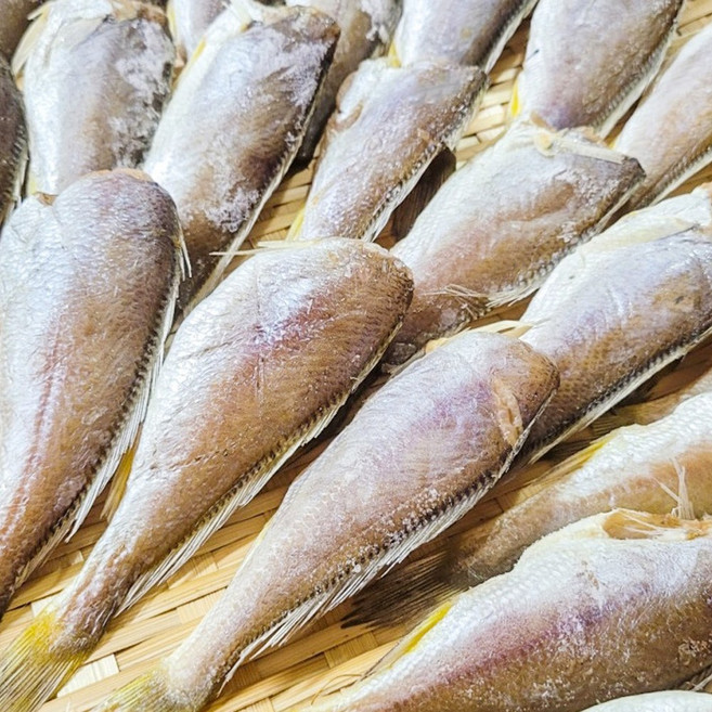 자연산 반건조 두절 참조기 (17미 내외 / 손질 후 크기 15cm 내외) / 전남목포, 2개, 자연산 반건조 두절 참조기 500g