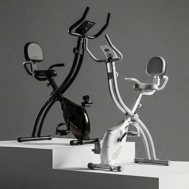 LPX1 실내 자전거 헬스 사이클 완조립 문앞배송, 화이트