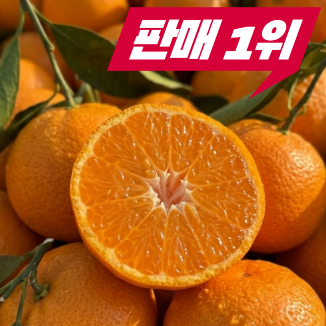 [작년판매1위] 농장직송 당도선별 제주 카라향, 1박스, 10kg