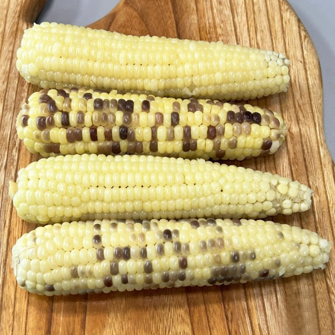 [자미담] 국내산 100% 냉동찰옥수수 대용량 30개입(흑점) 1박스/창고정리 초특가, 1개