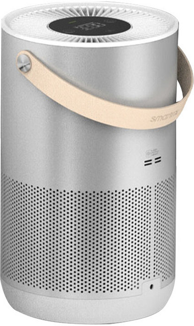 Montheria 공기청정기 포름알데히드 제거 미니공기청정기 C395-120, P1(Silver)