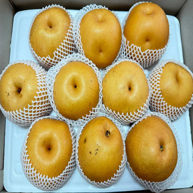 농부곳간 나주 햇배 나주배 신고배 과일 배 선물세트, 1박스, 나주배 5kg 가정용 6-15과