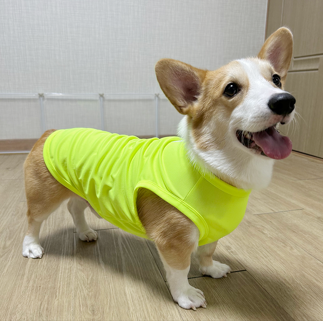 도기스타 웰시코기옷 여름 강아지 쿨조끼, 형광노랑, 1개