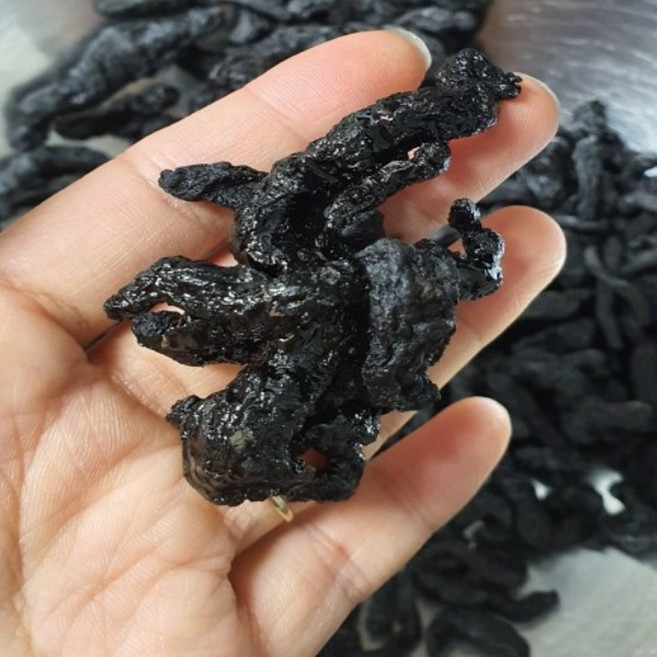 몸의 활력을 돋우는 국내산 9증 구증 구포 숙지황, 1세트, 600g