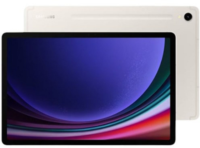 삼성전자 갤럭시탭 S9, 베이지, 128GB, Wi-Fi