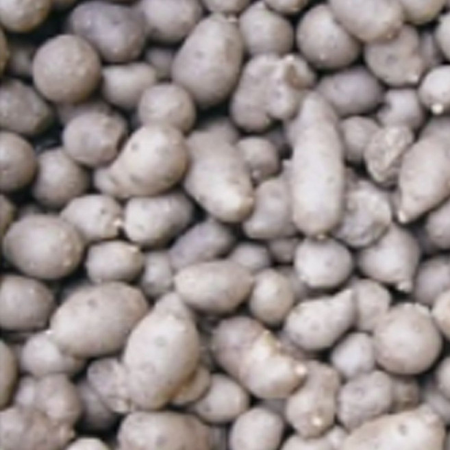 산마씨앗 단마품종 단마재배씨앗 500g참마씨앗 500g 참마씨앗 jum+52520zY