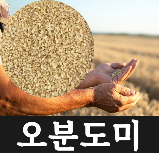 삼시세끼 Premium 쌀눈이살아있는 오분도미 5분도미 쌀눈현미, 3.9kg, 1개
