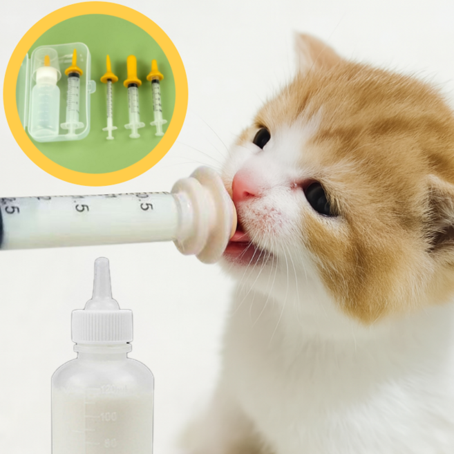 길벗 반려동물 젖병 새끼 고양이 강아지 수유 주사기, 1개, 베이지