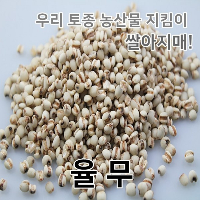2025년 국산 율무 의이인 율무쌀, 1개, 1kg