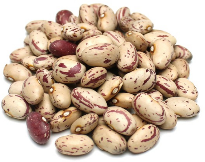 호랑이콩 1kg 매화콩 밤콩 울타리콩 호랑이강낭콩, 1개