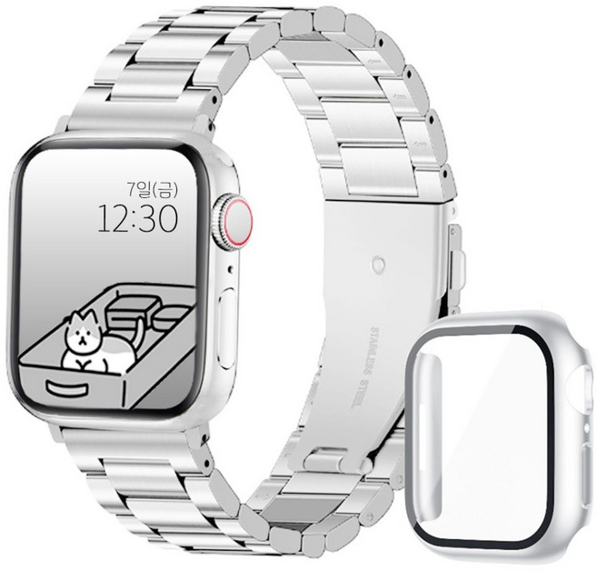 아이비온 애플워치 메탈 스트랩 40 44 + 풀커버 케이스 세트, 퓨어실버