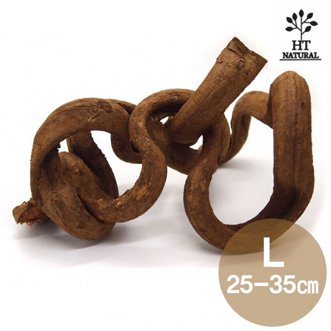 세틀 프리미엄 덩쿨 유목 L 25~35cm, 1개