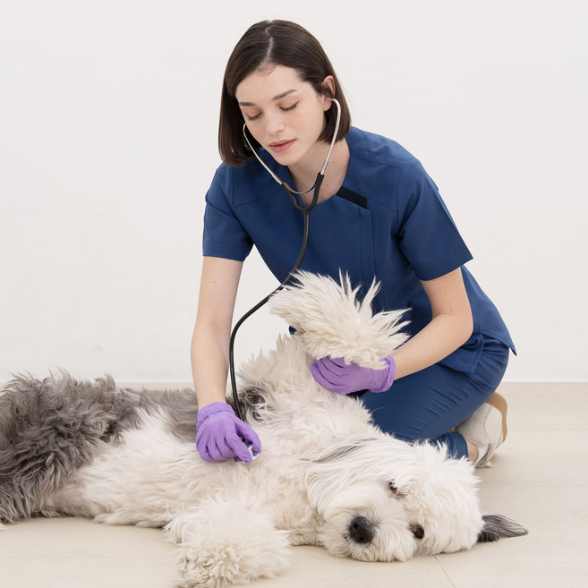 너스스타일 지퍼형 간호복 상의 병원 간호사 유니폼 근무복 간호사복