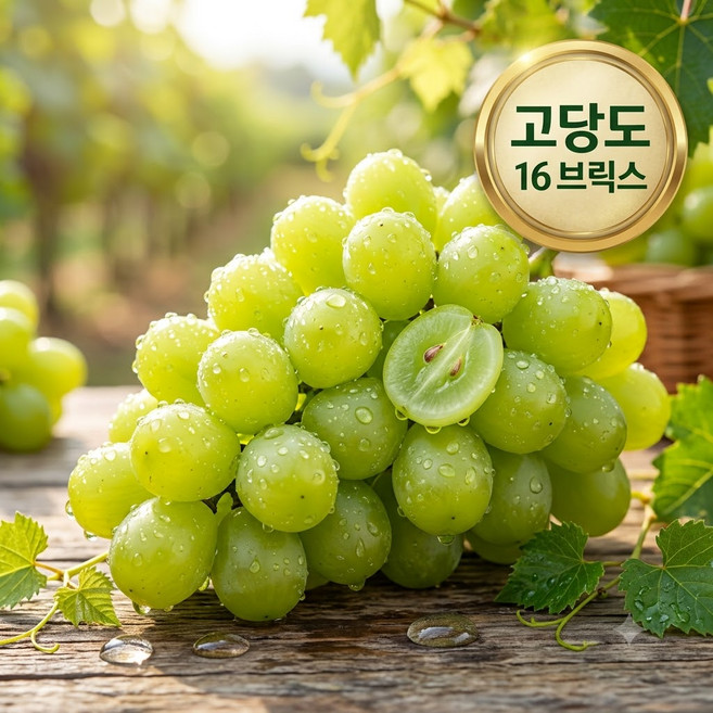[산지직송] 김천 고당도 샤인머스캣, 1개, 500g(1송이)