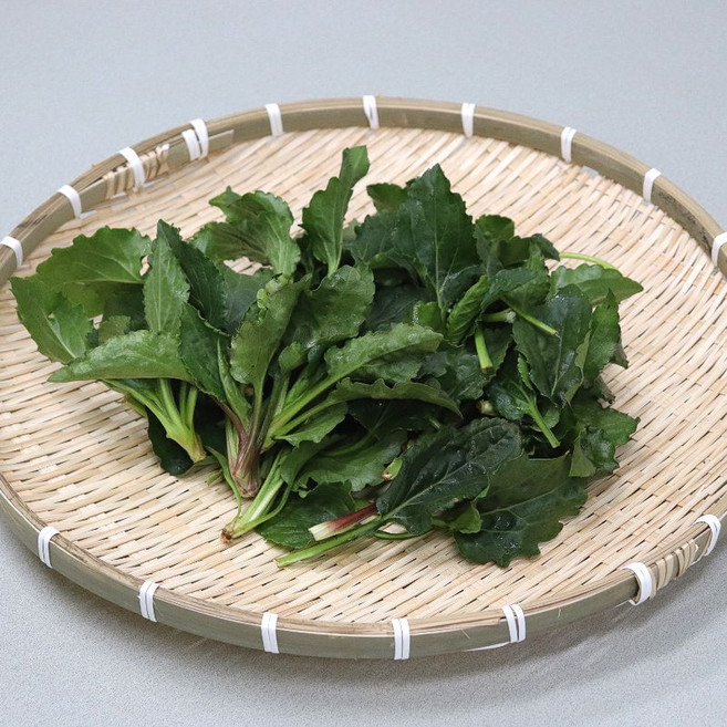 농산물마루 국내산 제철 취나물 생취나물, 4kg, 1박스