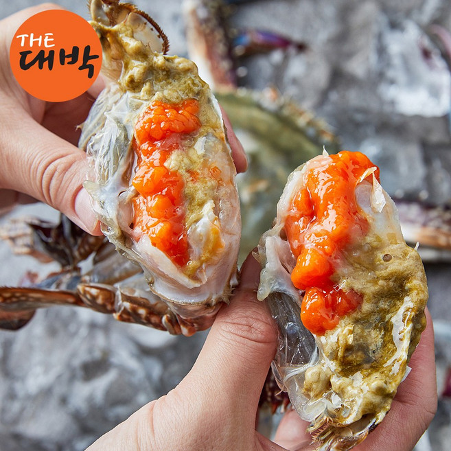 제철 활 꽃게 봄 암꽃게 알배기, 5개, 1kg (4-6미), 활 숫꽃게