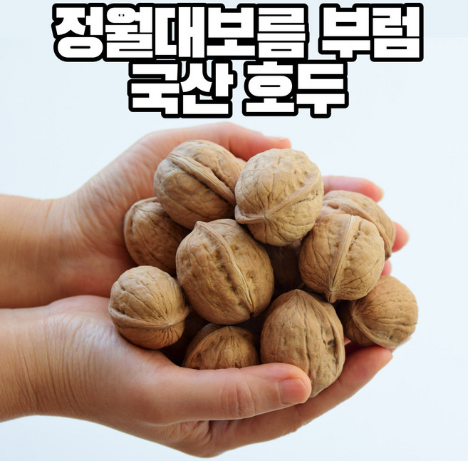 집밥친구 국산호두 알호두 피호두 국내산 호두 정월 대보름 부럼 세트1kg, 1kg, 1개