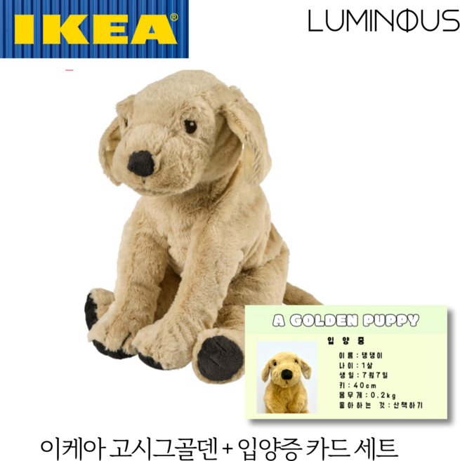 이케아 강아지인형 + 인형 입양증 세트 소형 고시그골덴 애착인형 GOSIG GOLDEN, 1개