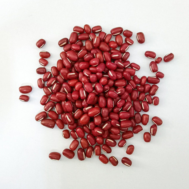 日生元 萬丹9號紅豆 115年新豆, 1個, 萬丹紅豆（一斤）