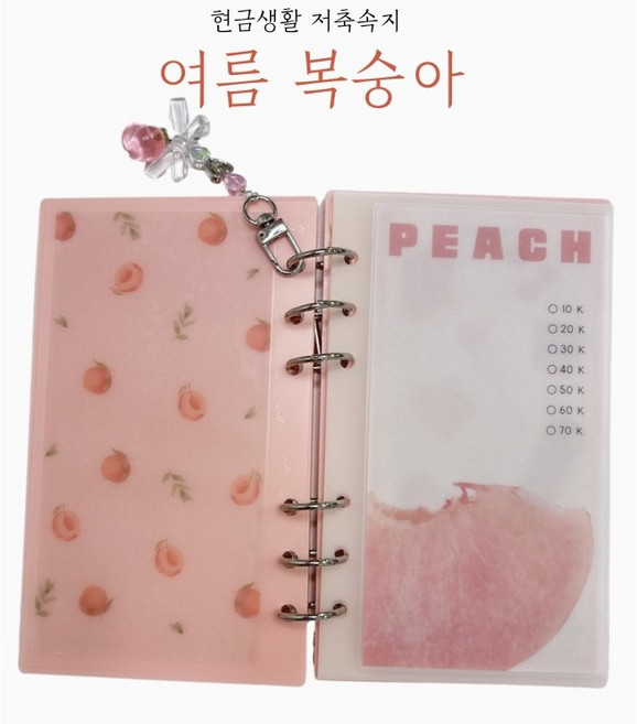 알록달록소품샵 여름복숭아+아크릴바인더 set 현금생활챌린지, 투명물결 바인더, 1개