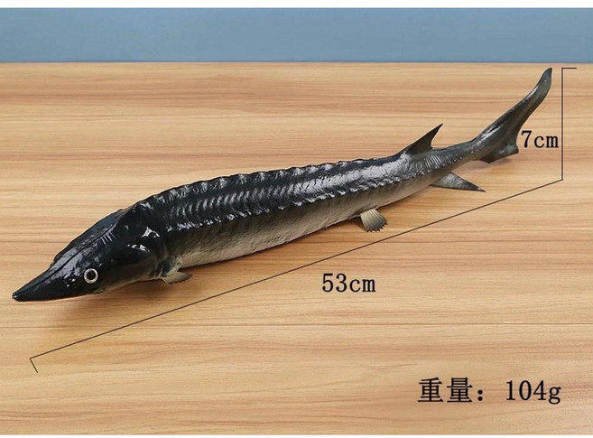 물고기 모델 소품 가짜 잉어 농어 바다 오이 음식 레스토랑 창 장식 장식품 슈팅, simulated fish, 6. Chinese Sturgeon