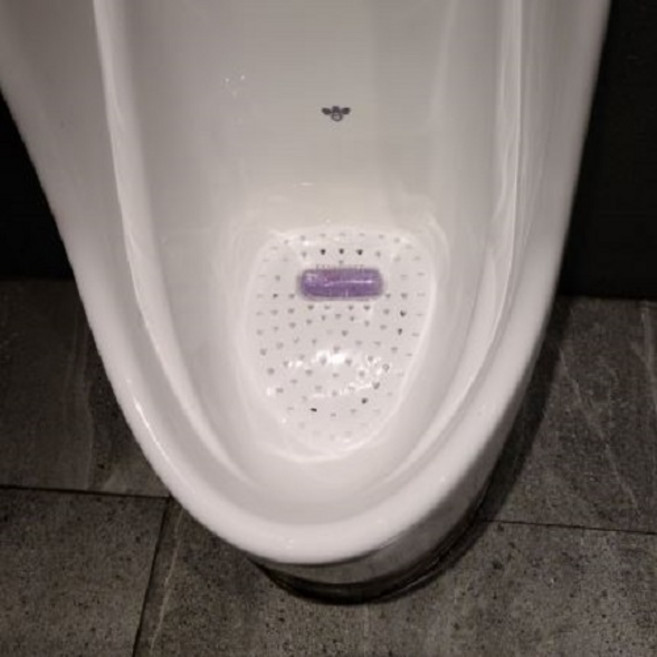 화장실탈취제 하이네트플러스 친환경 강력 살균 탈취 화장실냄새 휴게실탈취제, 라벤더, 1개