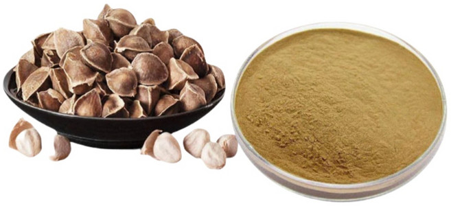 모링가 씨 농축 추출물, 1개, 200g